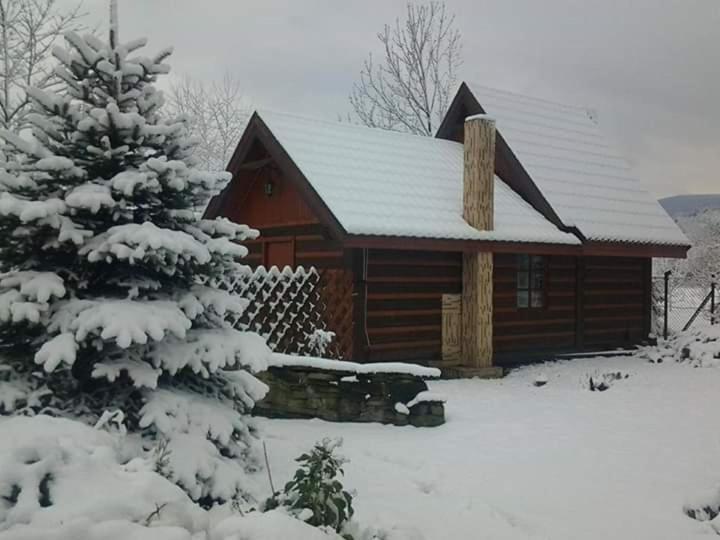 سانوك Agroturystyka W Ogrodach المظهر الخارجي الصورة